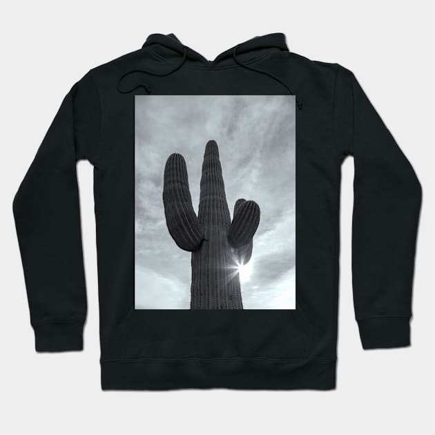 Saguaro bw Hoodie by jvnimages